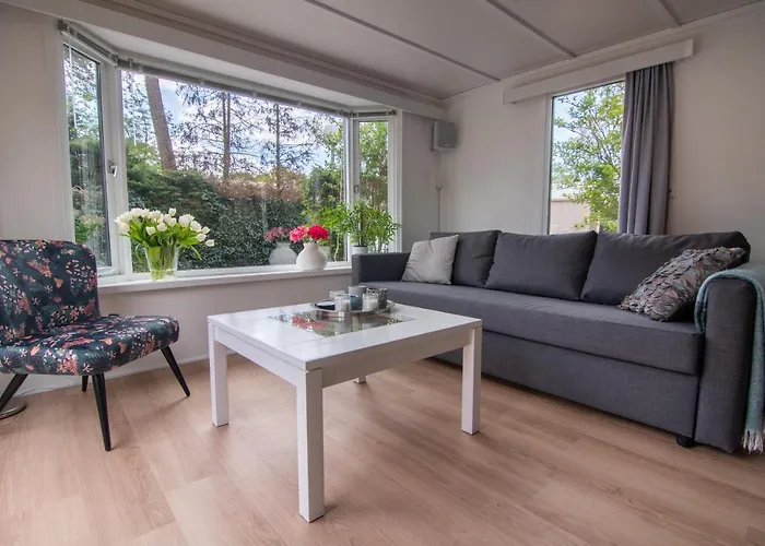 Luxe Chalet Op De Veluwe