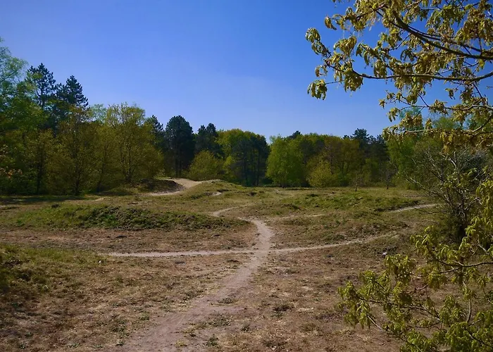 Luxe Chalet Op De Veluwe