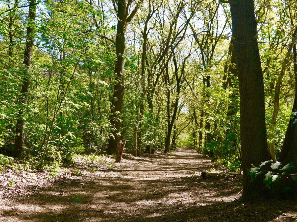 Luxe Op De Veluwe Holiday home